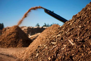 Woody residues feedstock